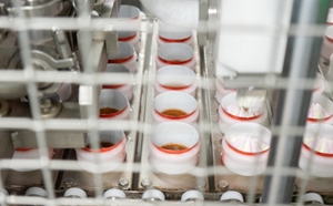 Marketing en Communicatie